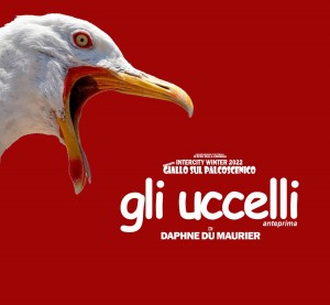 uccelli-maggio